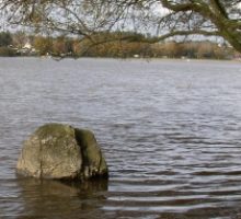 Image du lac au duc en Morbihan